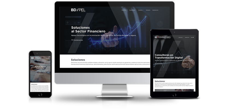 BD Holding Group websites